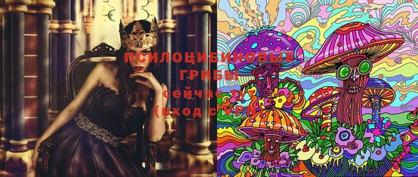 apvp Ладушкин